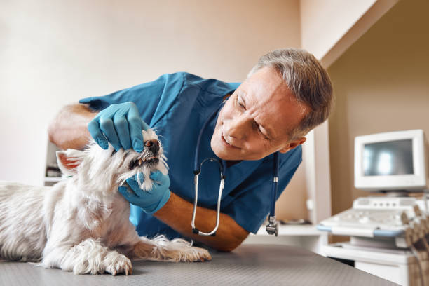 Best Emergency Dentist for Knocked-Out Tooth in Smithville, NJ